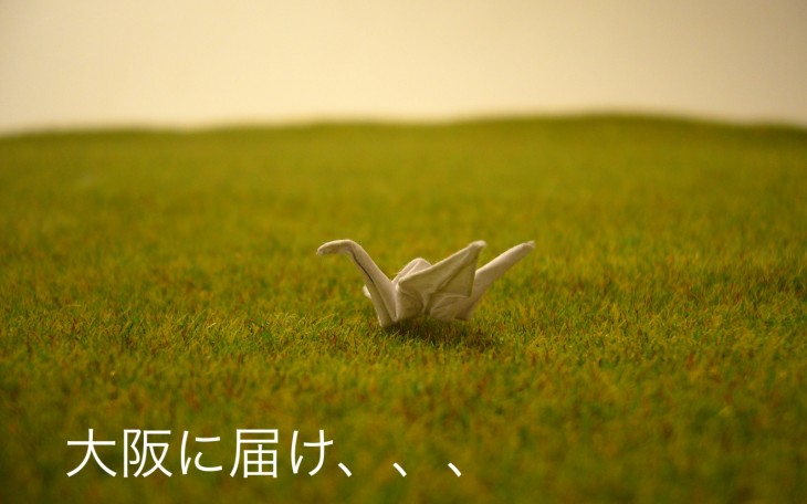 small-crane_Fotor